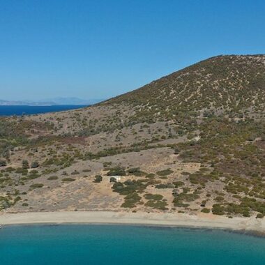 Discover Fort